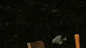 La ayuda de $1,000 dólares mensuales duraría hasta enero de 2026