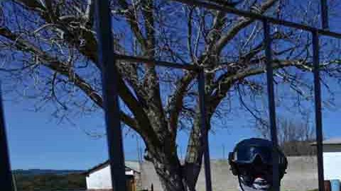 En la barranca de Urique la propiedad que más llamaba la atención era la de "El Chueco"