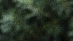 Milan, Shakira y Sasha en Barcelona en el 2022.