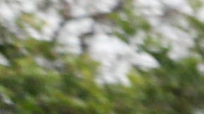 Foto: Sandy Huffaker/Legoland