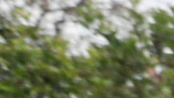 Foto: Sandy Huffaker/Legoland