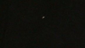 Mujer sobrevive a dos mordeduras del animal más tóxico de la Tierra