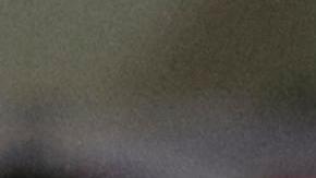 Nicolás Larcamon dirige hoy, en un partido de la Liga de Campeones de la Concacaf entre Tauro y León.