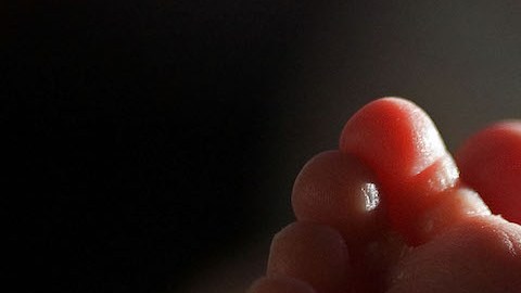 Sólo en el año 2020, Hades fue dado 12 veces en Francia y ninguna fiscalía ha pedido la supresión de este nombre del registro civil. / Foto: Getty Images