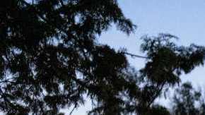 Periodistas, entre la impunidad de México y la indiferencia de EEUU