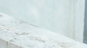 Perrita perdida se reencuentra con su dueña tras hacerse viral un vídeo en el que la esperaba bajo la lluvia