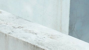 Perrita perdida se reencuentra con su dueña tras hacerse viral un vídeo en el que la esperaba bajo la lluvia