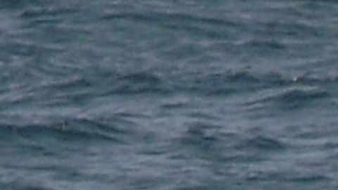 Piratas atacan un barco petrolero y secuestran a su tripulación