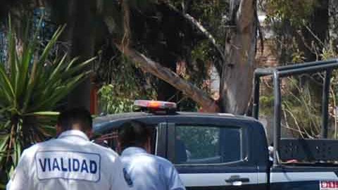 Cártel Jalisco Nueva Generación y el Cártel de Santa Rosa de Lima se disputan la zona Bajío