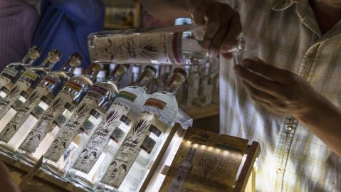 Pruebas de ADN identifican qué tipo de gusano es el que se encuentra en las botellas de mezcal