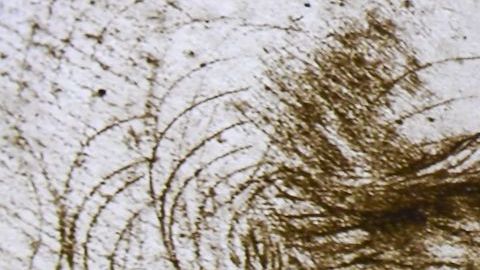 Revelan que Leonardo da Vinci era hijo de una esclava traficada hacia Italia