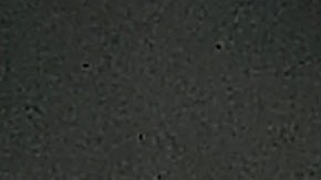 Rogelio Funes Mori en festejo de gol.