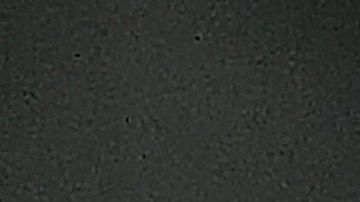 Rogelio Funes Mori en festejo de gol.