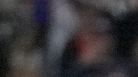 Shohei Ohtani campeón del Clásico Mundial con Japón.