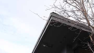 El Silicon Valley Bank es el decimosexto banco más grande del país