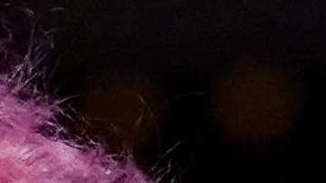 Tekashi 69 en una pelea de la UFC en 2021.