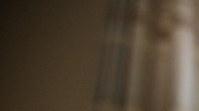 Tener mascota puede hacerte padecer insomnio