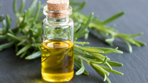 El aceite de romero es un gran aliado para ayudar a la salud de tu cabellera