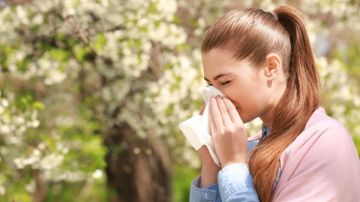 Temporada de alergias en Estados Unidos: qué debemos saber