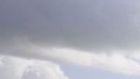 La masa de algas mide unas 5,000 millas y pesa 10 millones de toneladas.