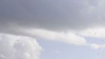 La masa de algas mide unas 5,000 millas y pesa 10 millones de toneladas.