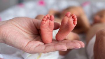 Crece la cifra de nacimientos prematuros en Estados Unidos