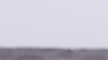 Blake Johnston, surfista australiano dueño del récord mundial de más horas entre olas.