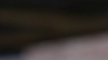 Luis Caffarelli, matemático argentino e investigador de la Universidad de Texas en Austin, Estados Unidos.