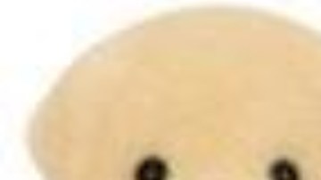 Imagen de dos muñecos de la marca Calico Critters.