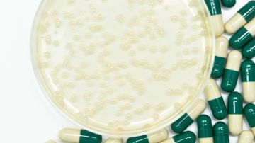 El hongo “candida auris” resistente a los medicamentos se propaga en EE. UU., dicen los CDC  