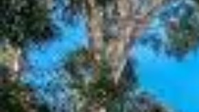 El Compton College se encuentra en el 1111 East Artesia Boulevard en Compton.