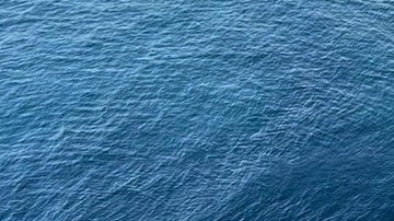 Narcosubmarino