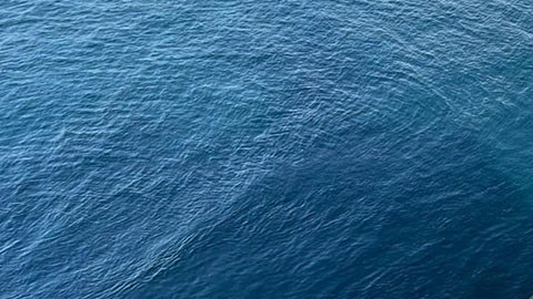 Narcosubmarino