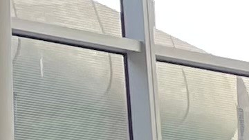 Claudia Marina Cifuentes (c-d), fue recibida por familiares, amigos y defensores de los inmigrantes.