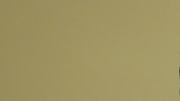 CEO de TikTok advierte al Congreso de EE.UU. que vetar esta red social perjudicaría la economía estadounidense