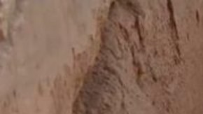 La esfinge de piedra caliza tiene una "cara sonriente y dos hoyuelos".