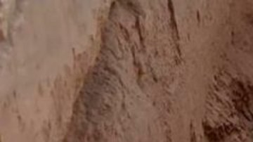 La esfinge de piedra caliza tiene una "cara sonriente y dos hoyuelos".