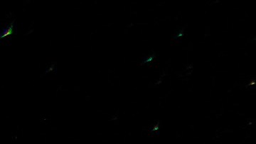 Las fases de la Luna tienen una influencia sobre nosotros.