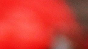 Las monedas chinas de la suerte son amuletos poderosos en el Feng Shui.