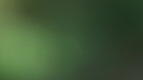 Fresas congeladas son retiradas del mercado en EE. UU. por brote de hepatitis A