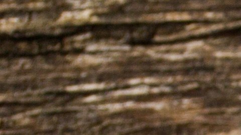 El laurel en el esoterismo se asocia con el éxito y los triunfos.