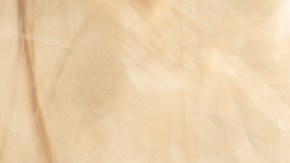 Los nacidos en marzo poseen un espíritu inquebrantable.