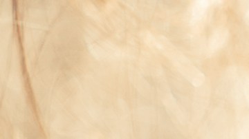 Los nacidos en marzo poseen un espíritu inquebrantable.