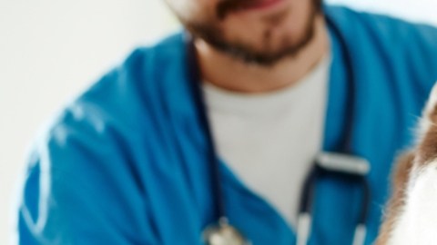 Mascotas podrían trasmitir enfermedades resistentes a los antibióticos a sus dueños, según una nueva investigación