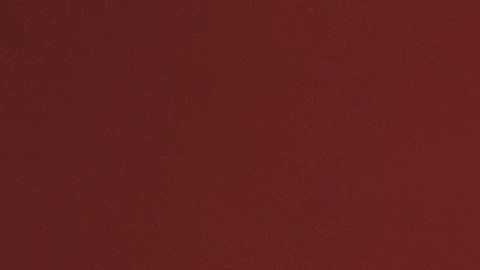 El horóscopo revela por qué algunos signos son narcisistas.