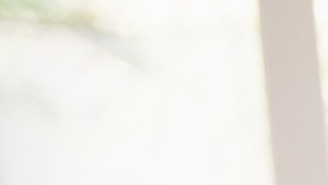 La numerología revela cuál es la energía que carga nuestro apellido.