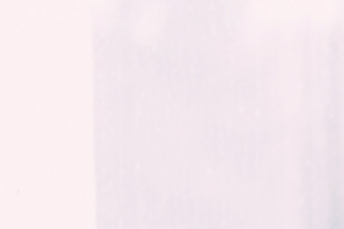 Las plantas en el hogar fomentan la energía positiva, según el Feng Shui.