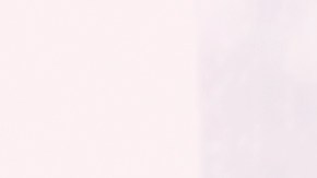 Las plantas en el hogar fomentan la energía positiva, según el Feng Shui.