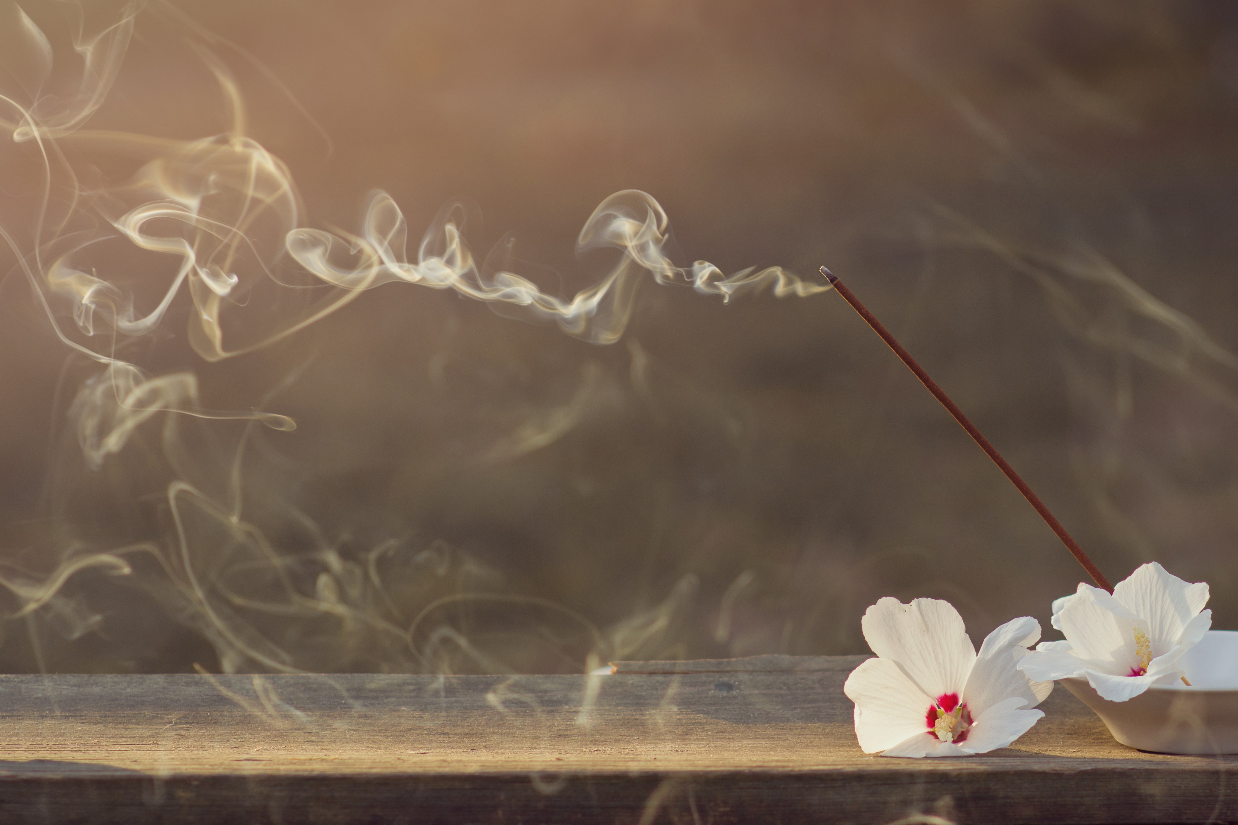 Feng Shui: ¿Dónde poner las velas aromáticas para atraer lo mejor a tu vida?