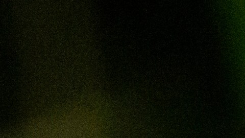 Black,And,Yellow,Butterfly,On,Top,Of,A,Persons,Hand